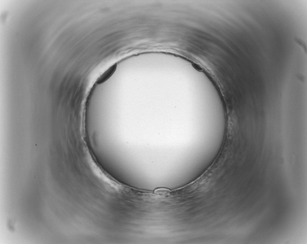 X0000101421528200807280926