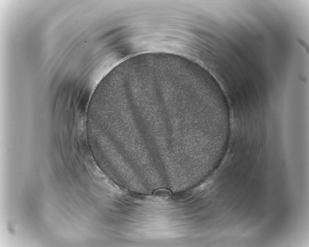X0000101421529200807280926