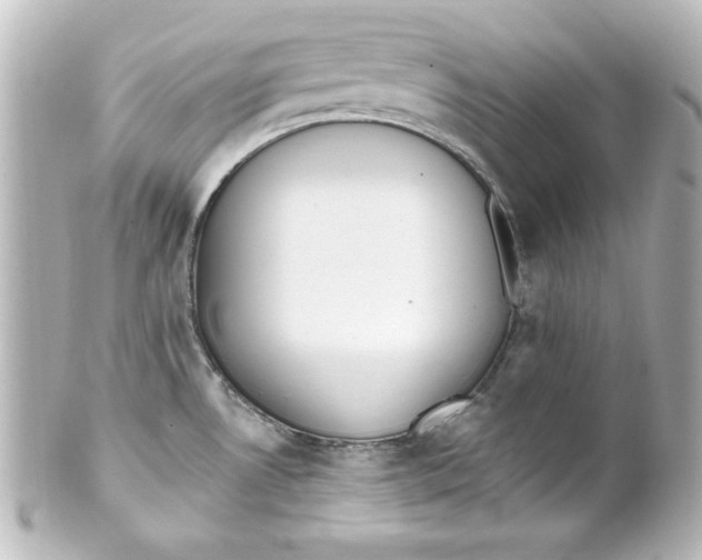 X0000101421530200807280926