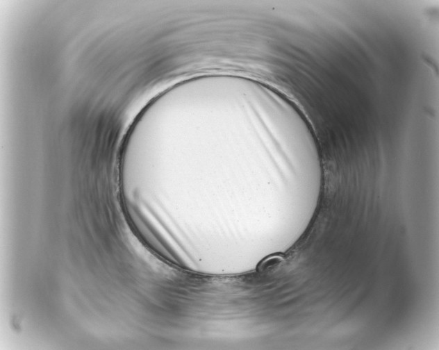 X0000101421531200807280926
