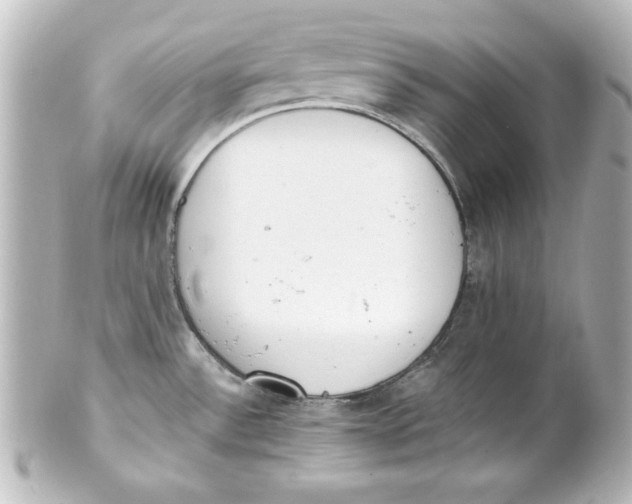 X0000101421532200807280926