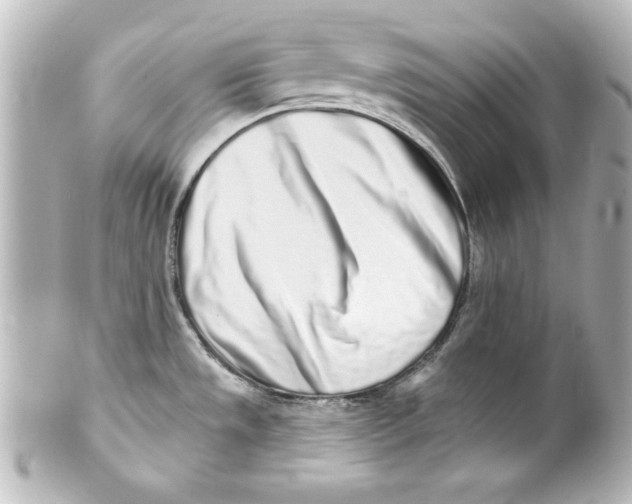 X0000101421533200807280926