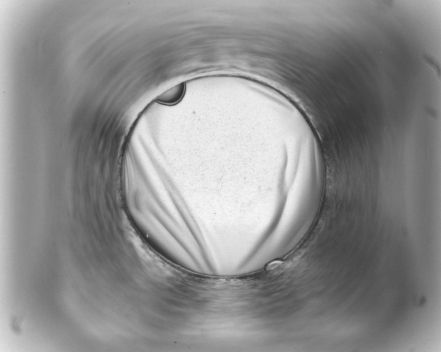 X0000101421534200807280926