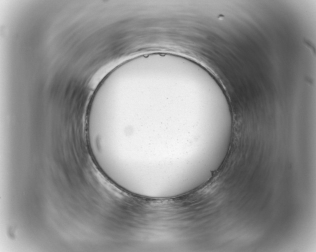 X0000101421535200807280926