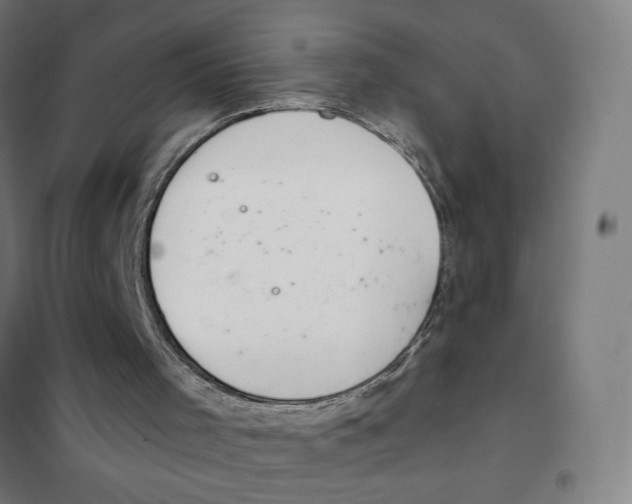 X0000101420001200808041139
