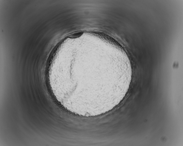 X0000101420002200808041139