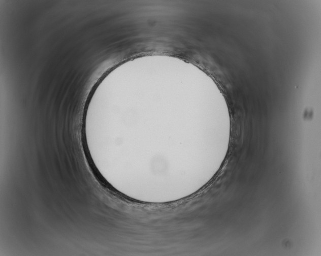 X0000101420003200808041139