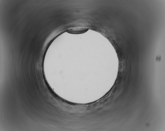 X0000101420004200808041139