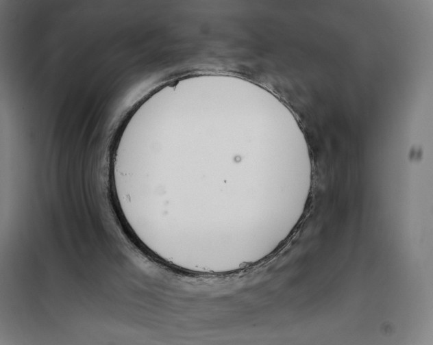 X0000101420005200808041139