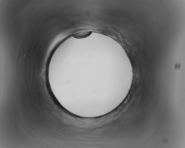 X0000101420006200808041139