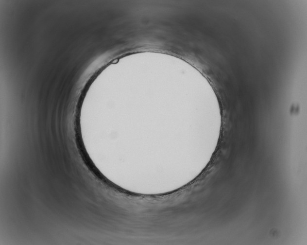X0000101420007200808041139