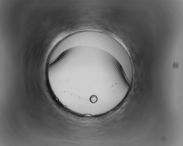 X0000101420008200808041139