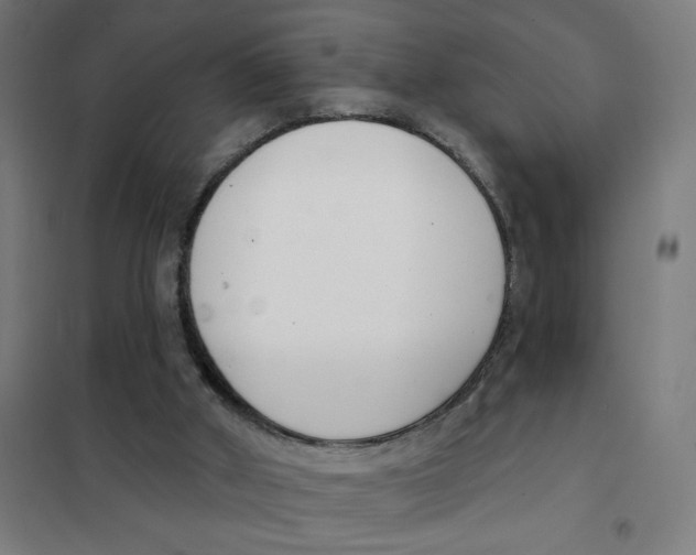 X0000101420010200808041139