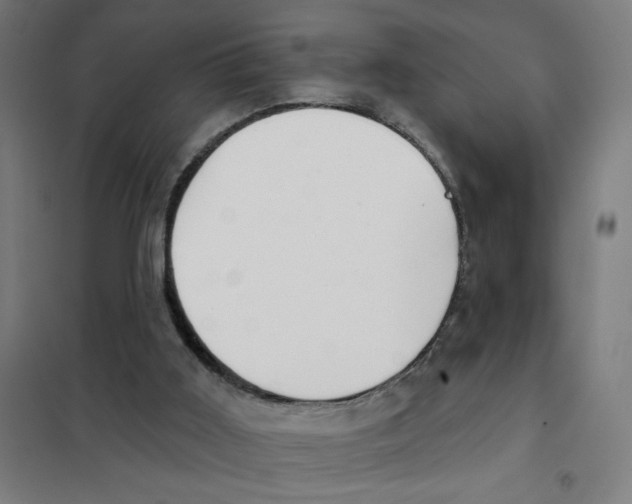 X0000101420011200808041139