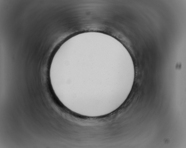 X0000101420012200808041139
