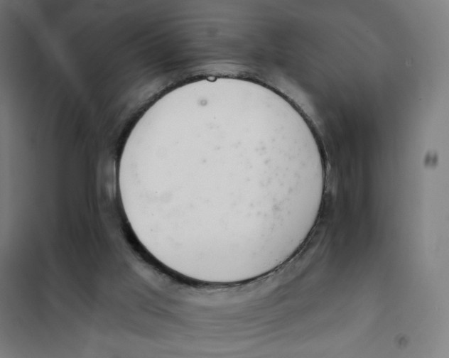 X0000101420013200808041139