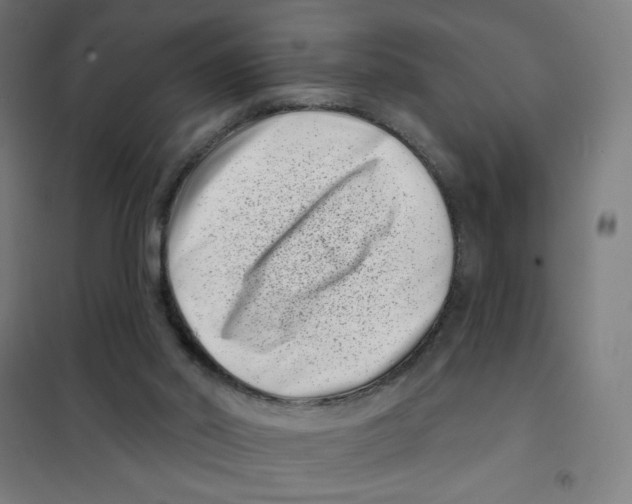 X0000101420014200808041139