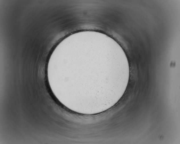 X0000101420015200808041139