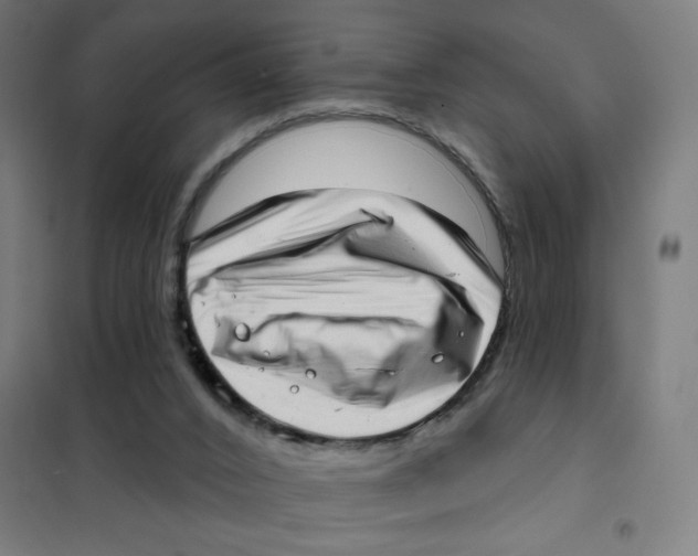 X0000101420016200808041139