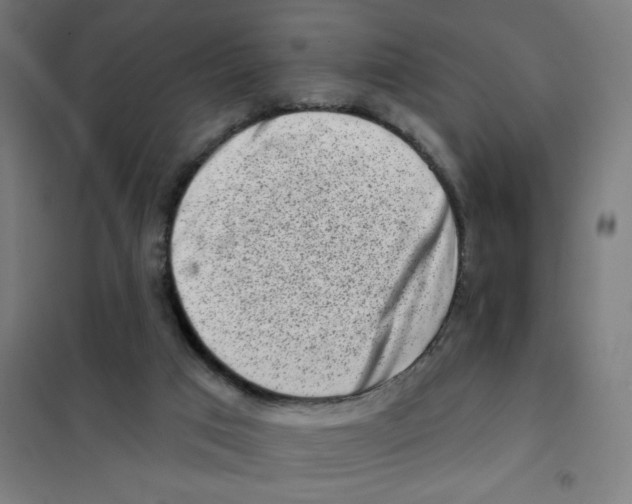 X0000101420017200808041139