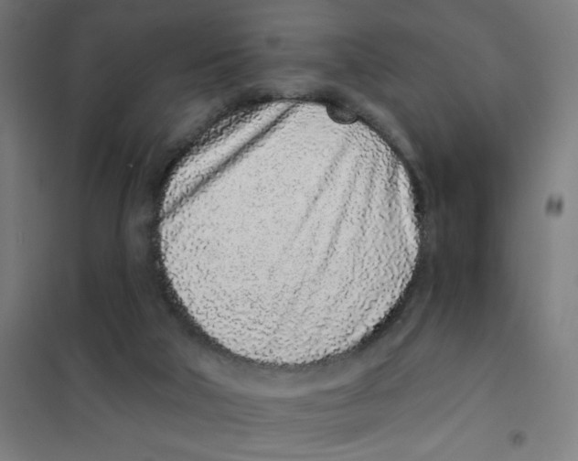 X0000101420018200808041139