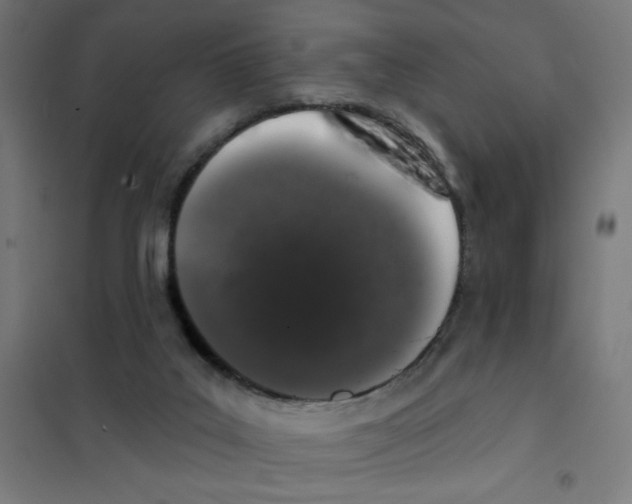 X0000101420019200808041138