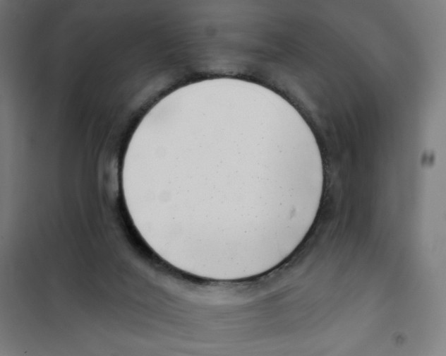 X0000101420020200808041138