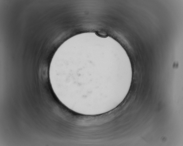X0000101420021200808041138