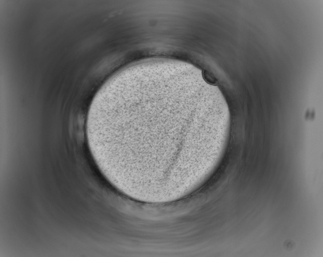 X0000101420022200808041138