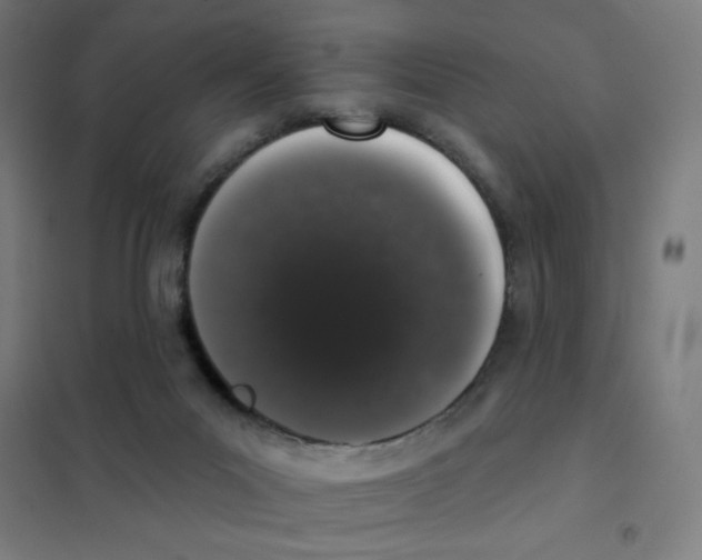 X0000101420023200808041138