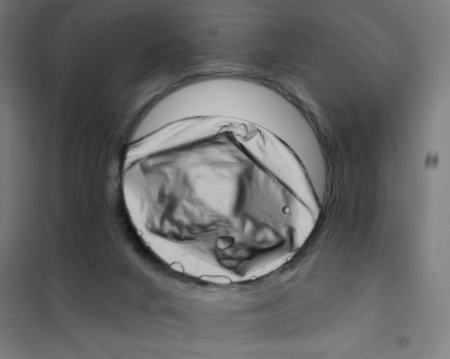 X0000101420024200808041138