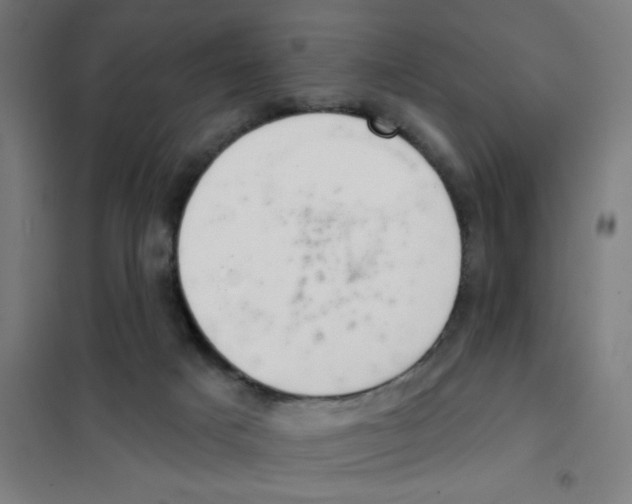 X0000101420025200808041138
