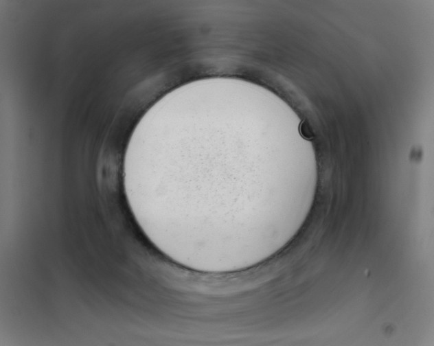 X0000101420026200808041138