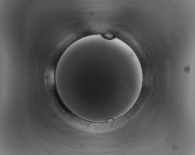 X0000101420027200808041138