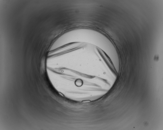 X0000101420028200808041138