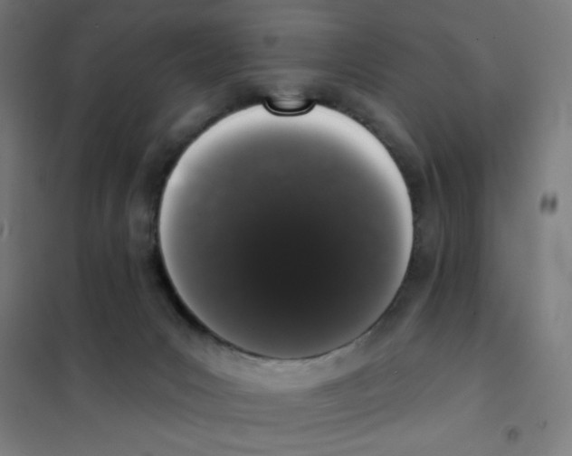 X0000101420031200808041138