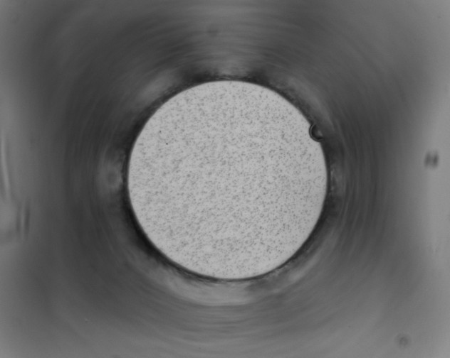 X0000101420032200808041138