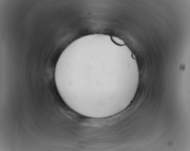 X0000101420033200808041138