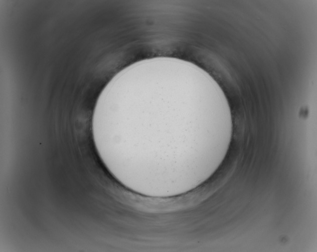 X0000101420034200808041138