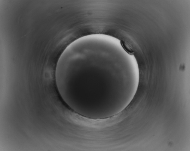 X0000101420035200808041138