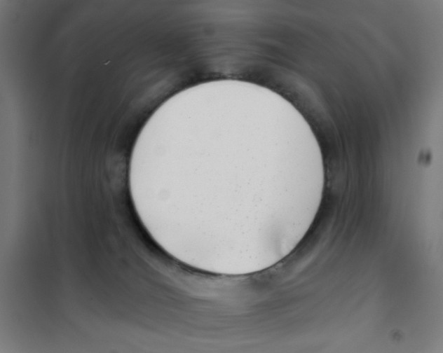 X0000101420036200808041138