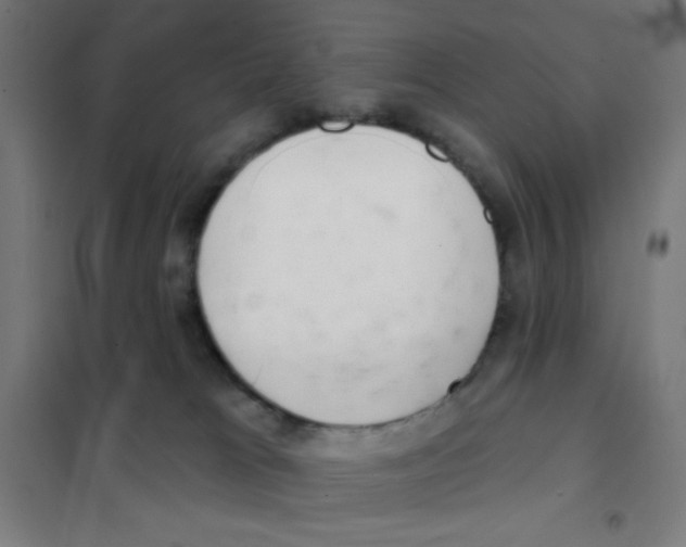 X0000101420037200808041138