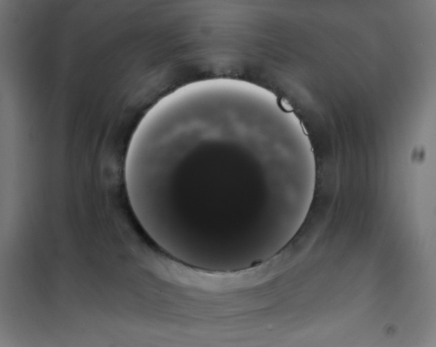X0000101420039200808041138