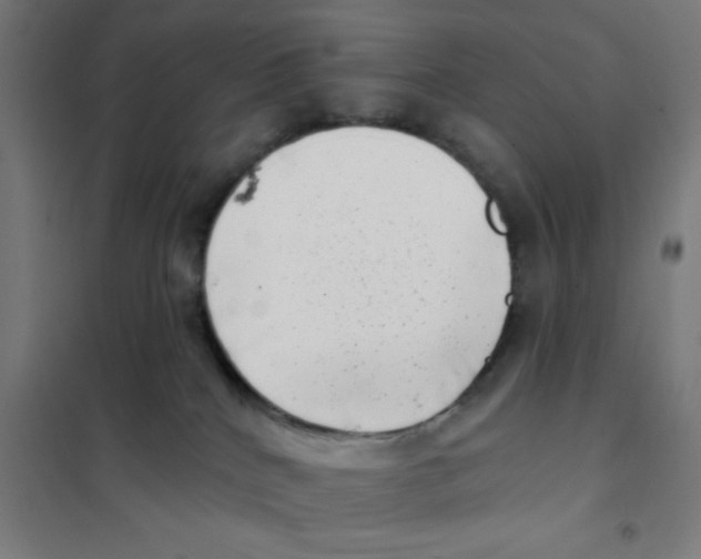 X0000101420040200808041138