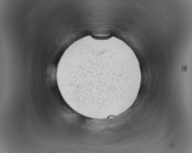 X0000101420041200808041138