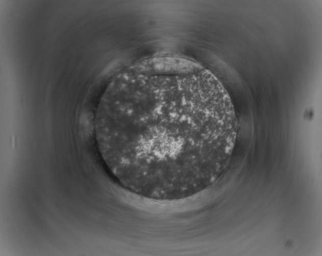 X0000101420043200808041138