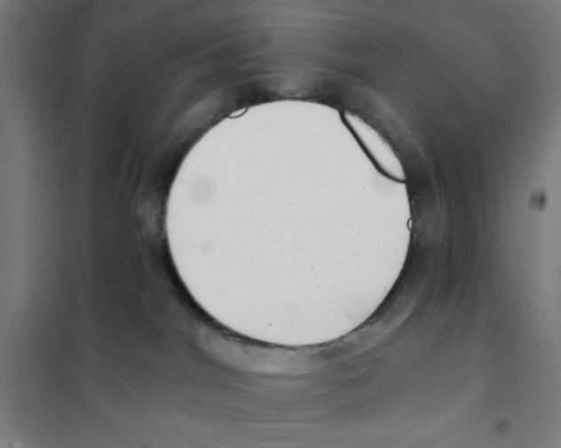 X0000101420044200808041138