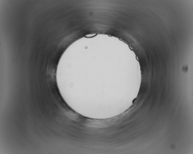 X0000101420045200808041138