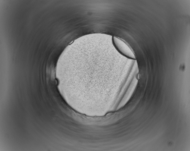 X0000101420046200808041138