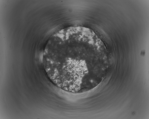 X0000101420047200808041138